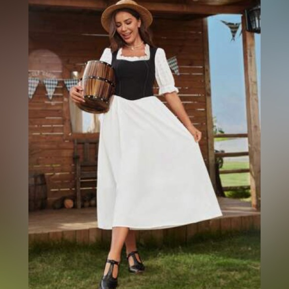 SHEIN Drindle dress costume M